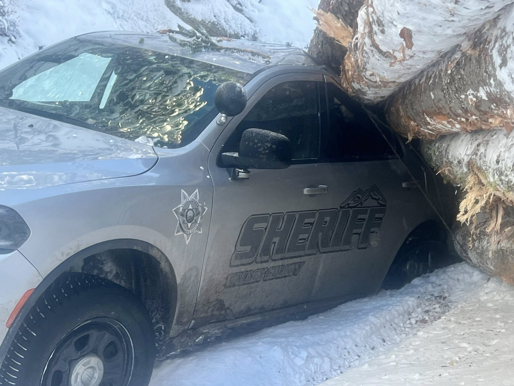 May be an image of snowplow and tree.png