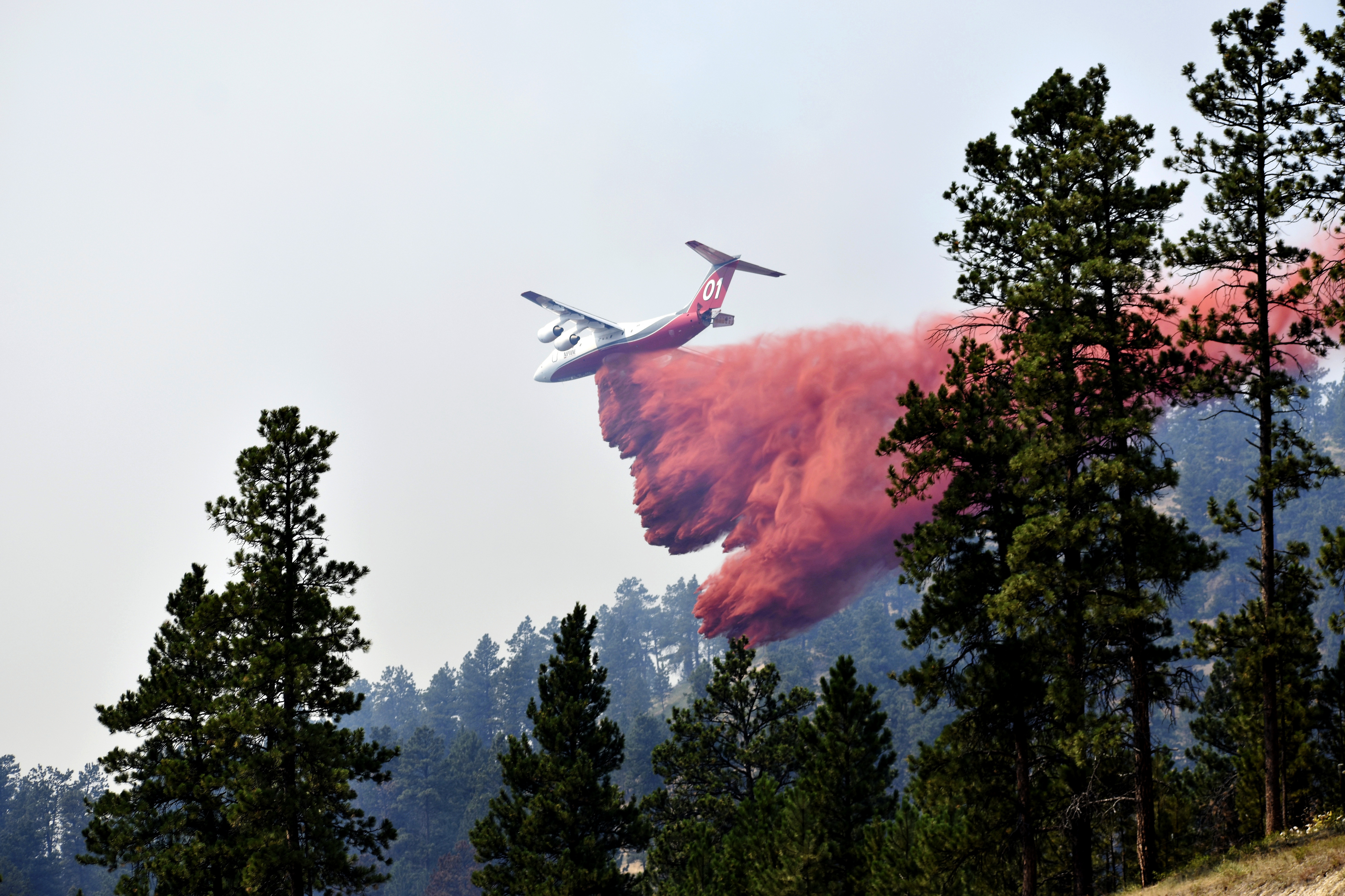 Wildfires-Retardant Pollution