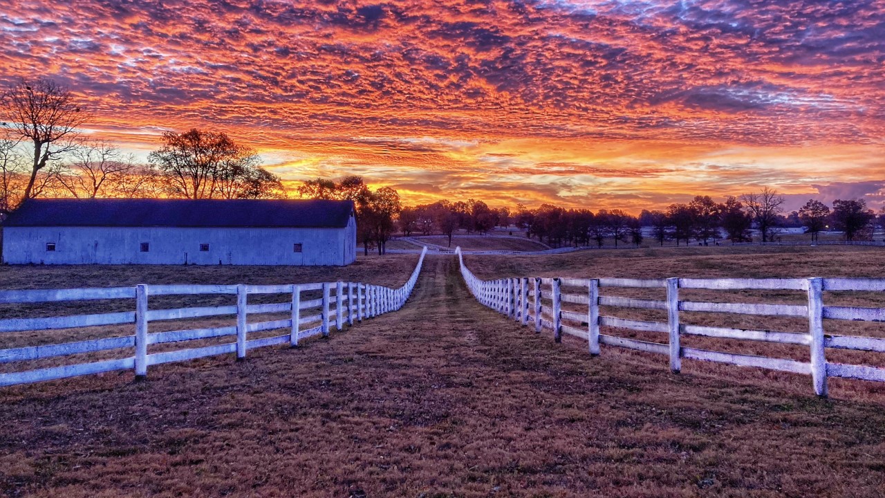 thumbnail_image6 (1).jpg