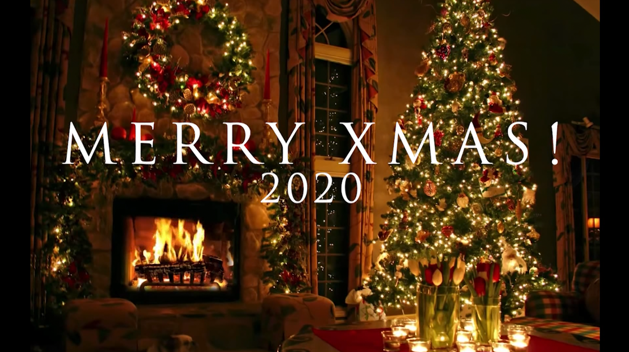 Screen Shot 2020-12-23 at 10.53.32 PM.png