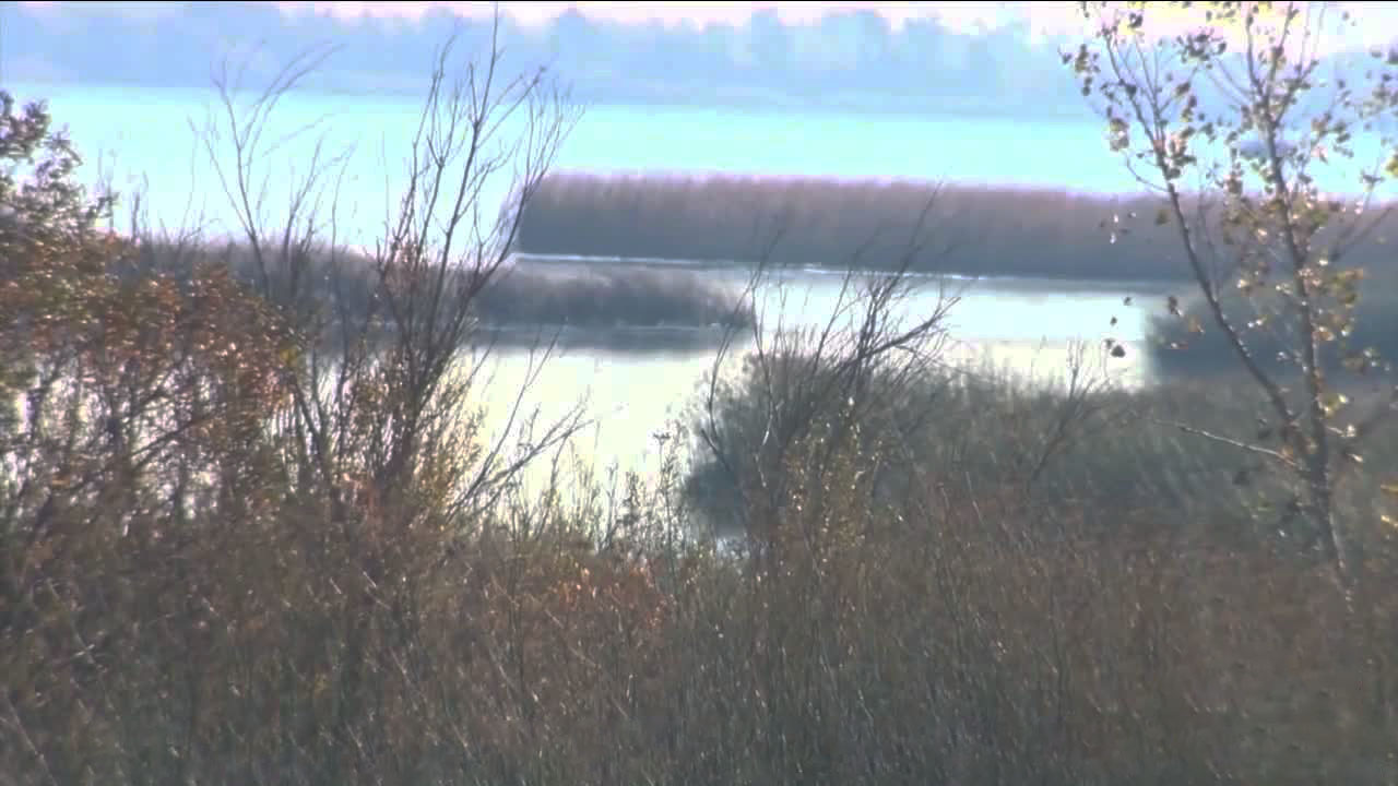 Delta Region Waterway (FILE)