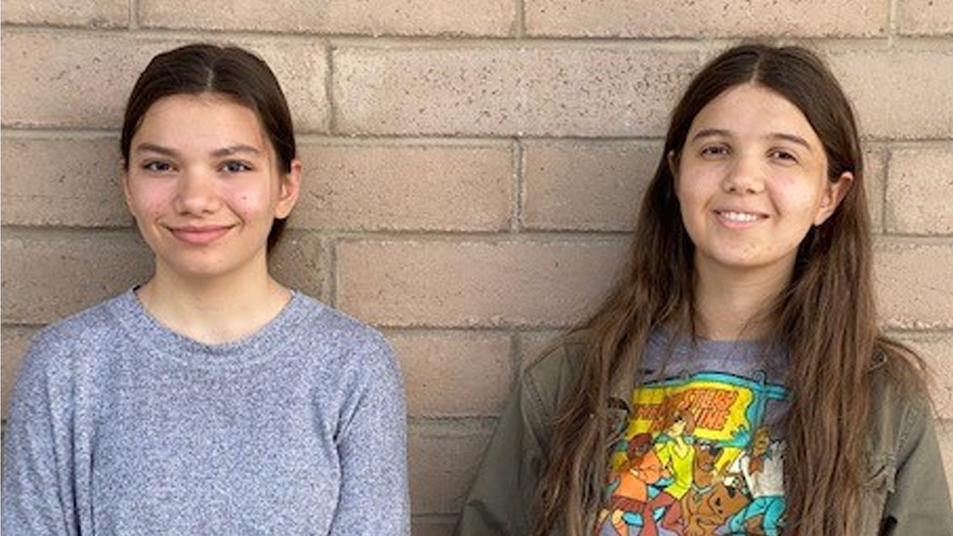 Mountain View High School.jpg