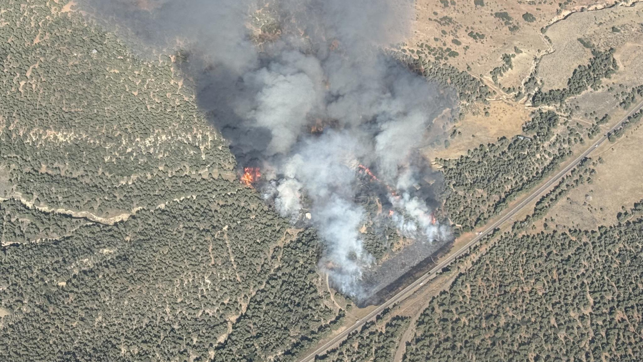 Wildfire breaks out at Kane County highway, cause under investigation