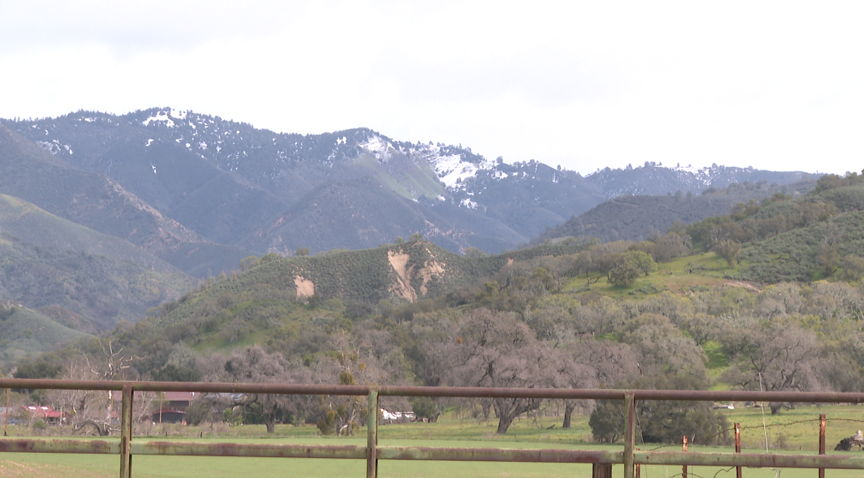 Fig Mountain