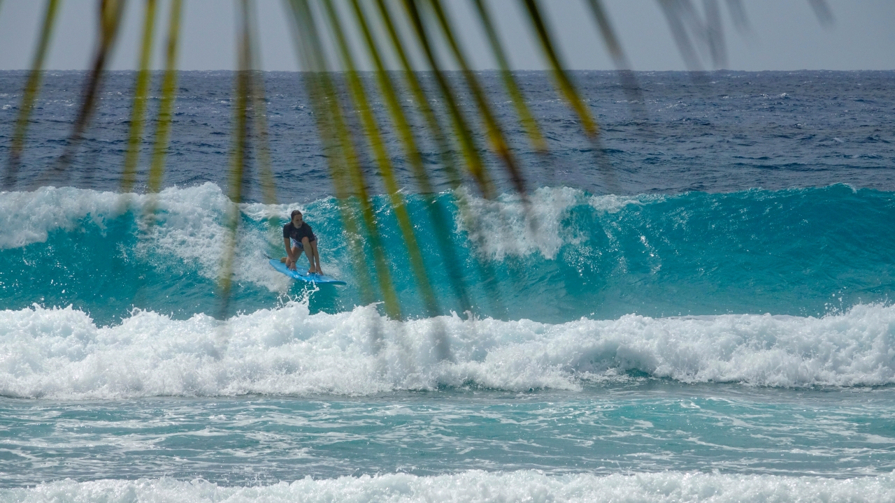 A person surfs in the Barbados.