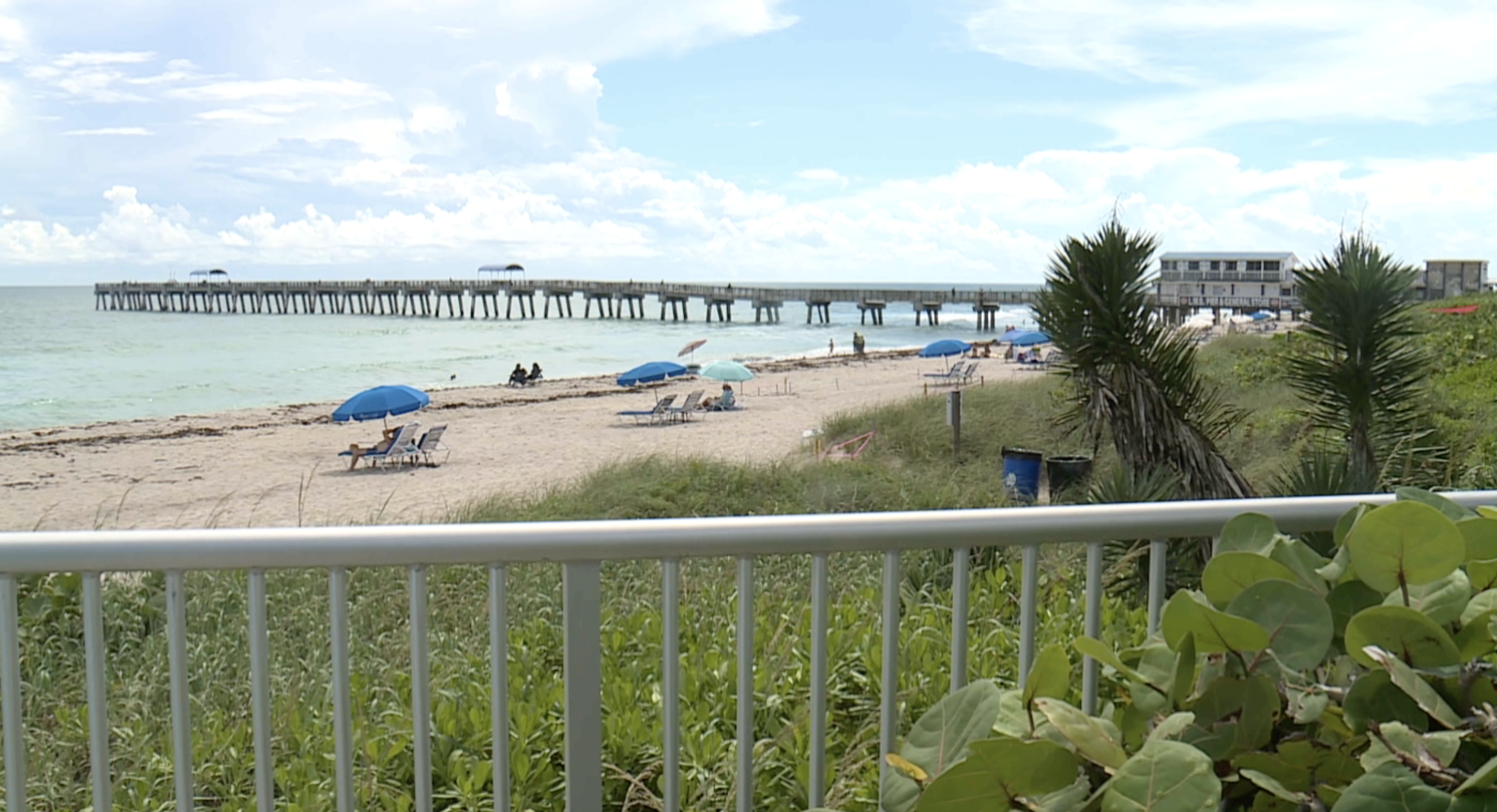 lake worth beach thumbnail image photo.png