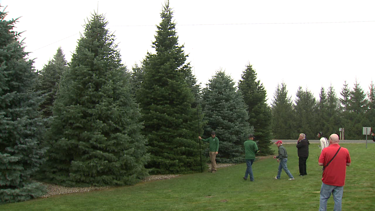 Official White House Christmas Tree 2025