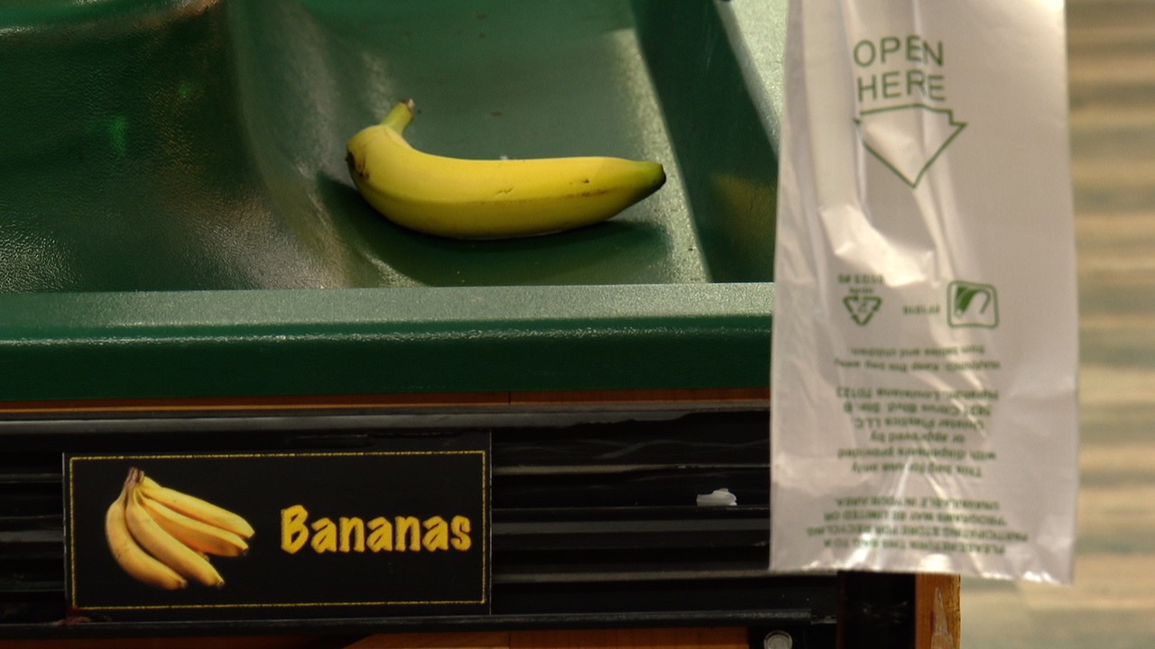 BS GROCERY STORES GOT NO FOOD LL PKG.jpg