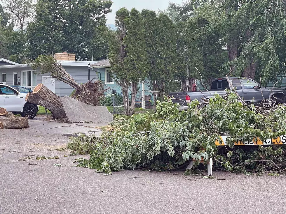 Missoula Storm