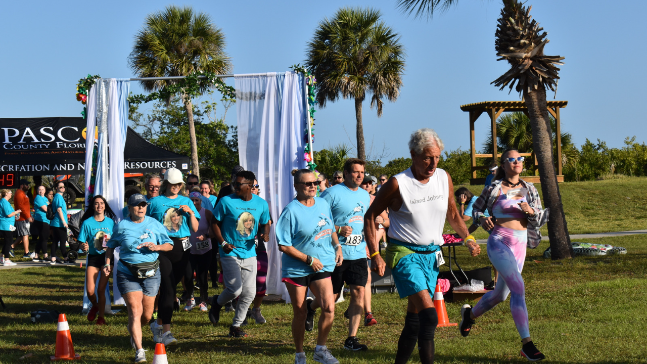 Angela's Turtle Trot 3.png