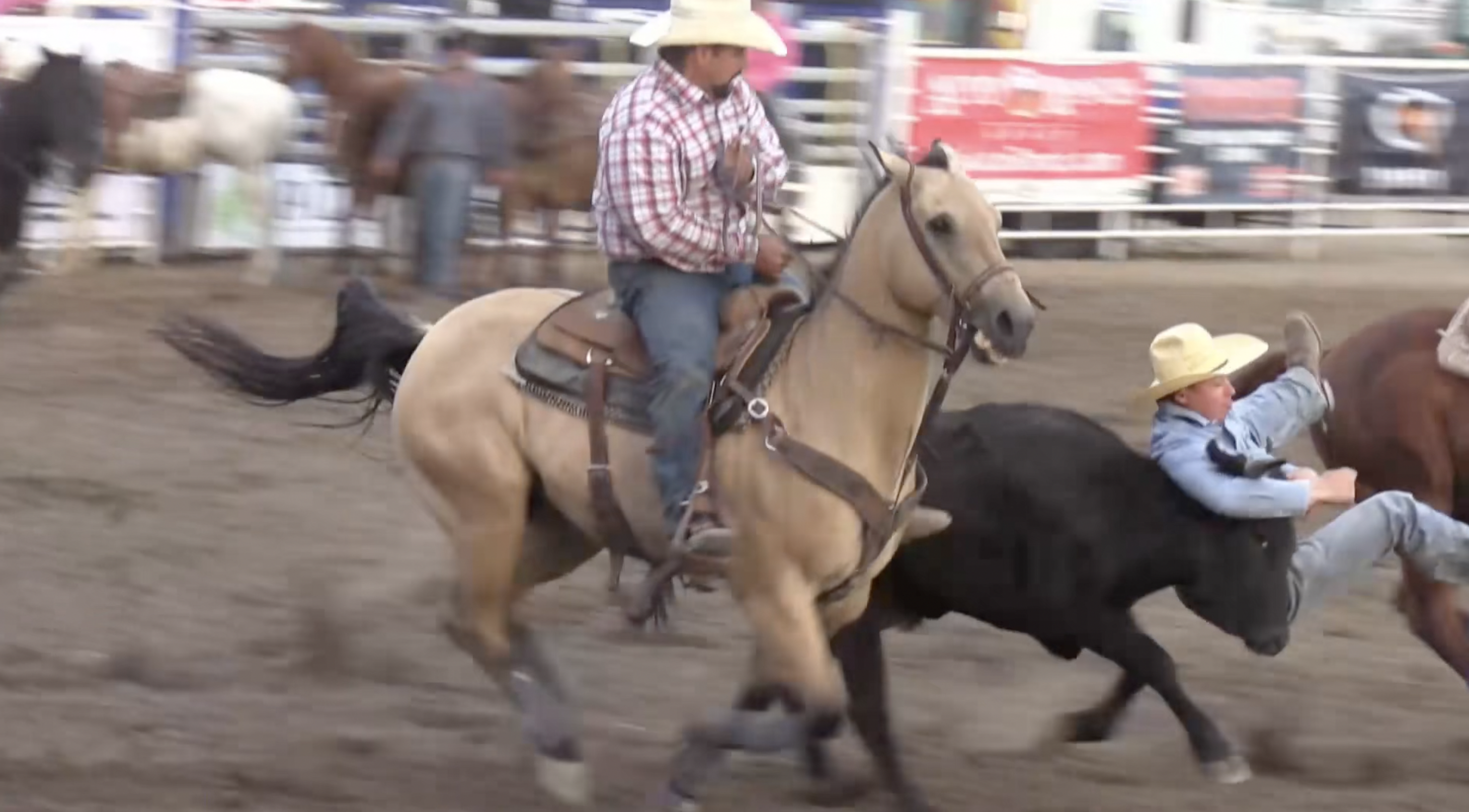 Daniel Dopps Memorial Rodeo 