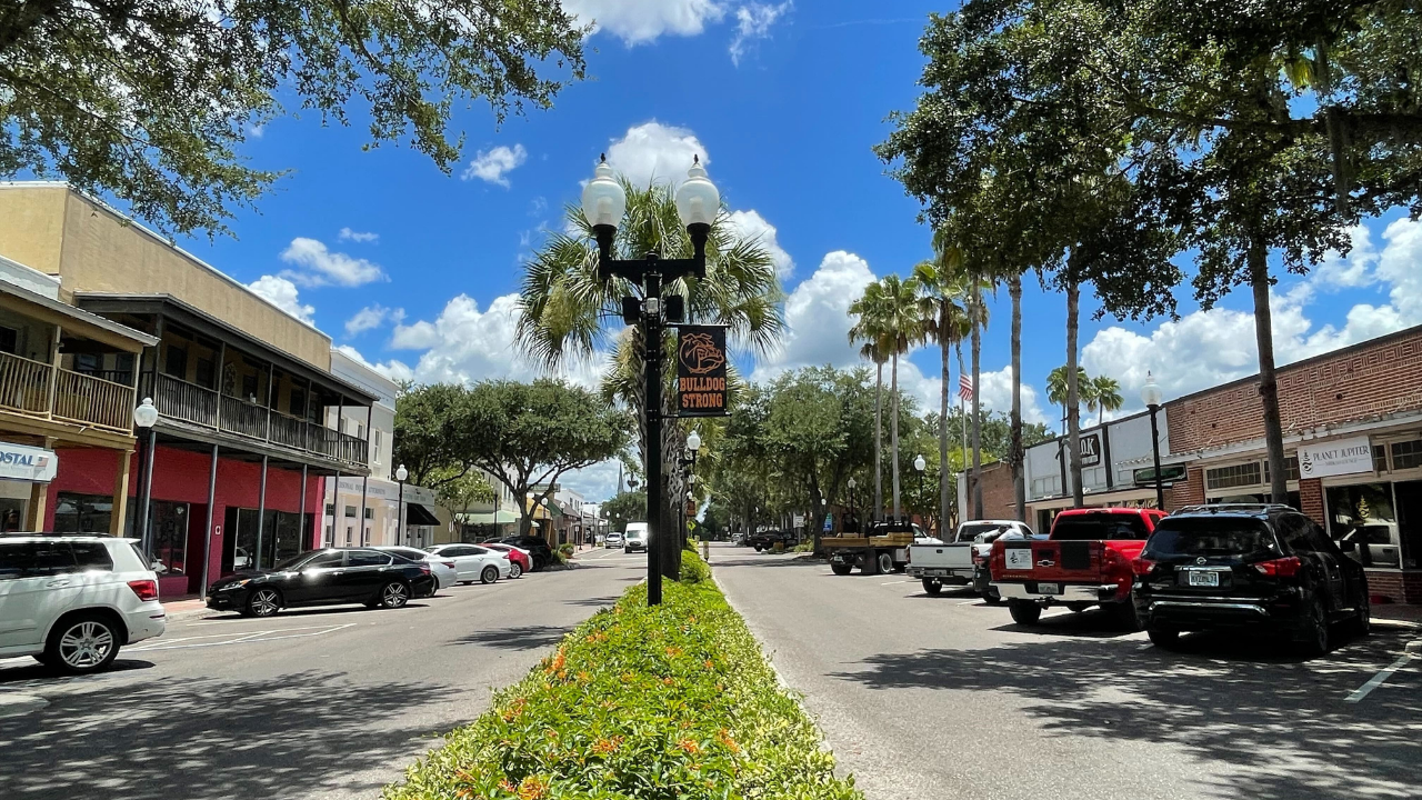 downtown zephyrhills.png