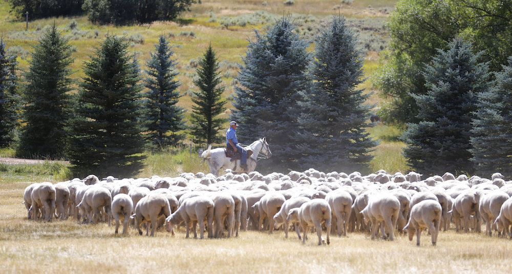 Utah Daily Life
