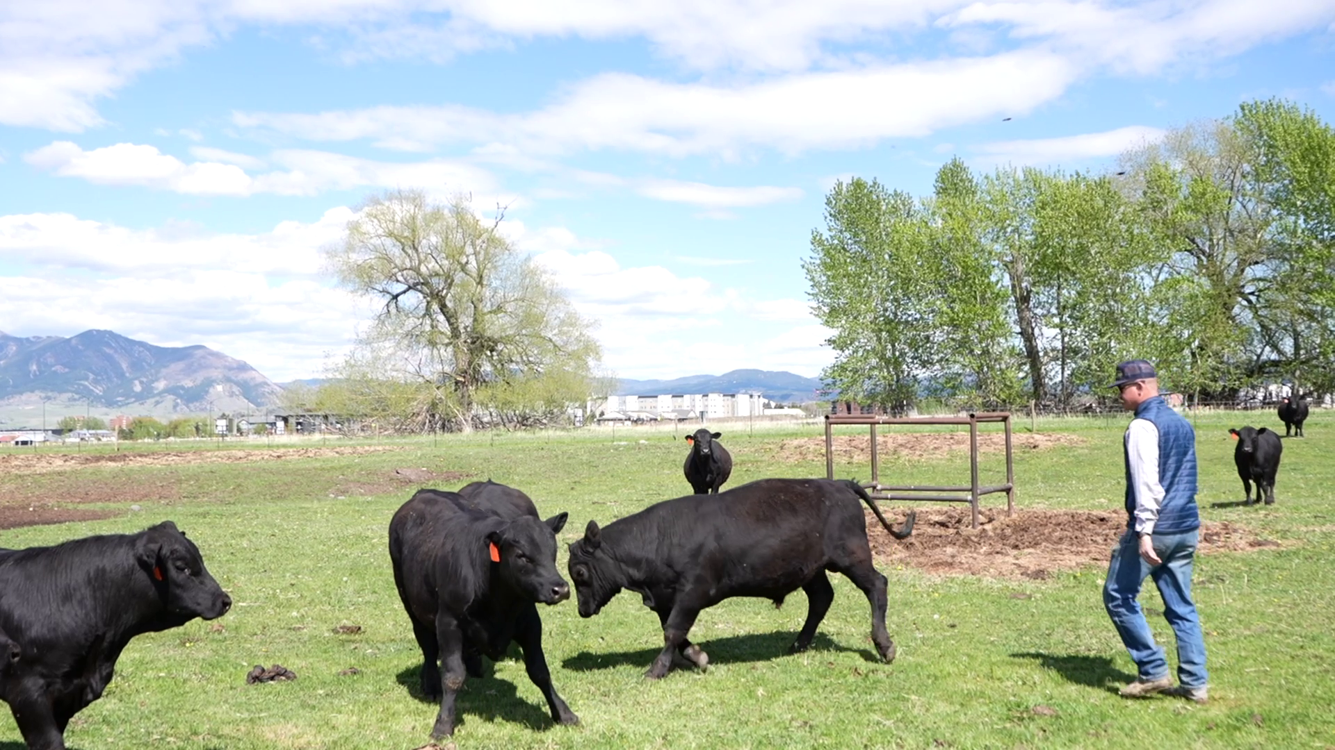 Montana Ag Network: BART Farm gives students hands-on learning experience