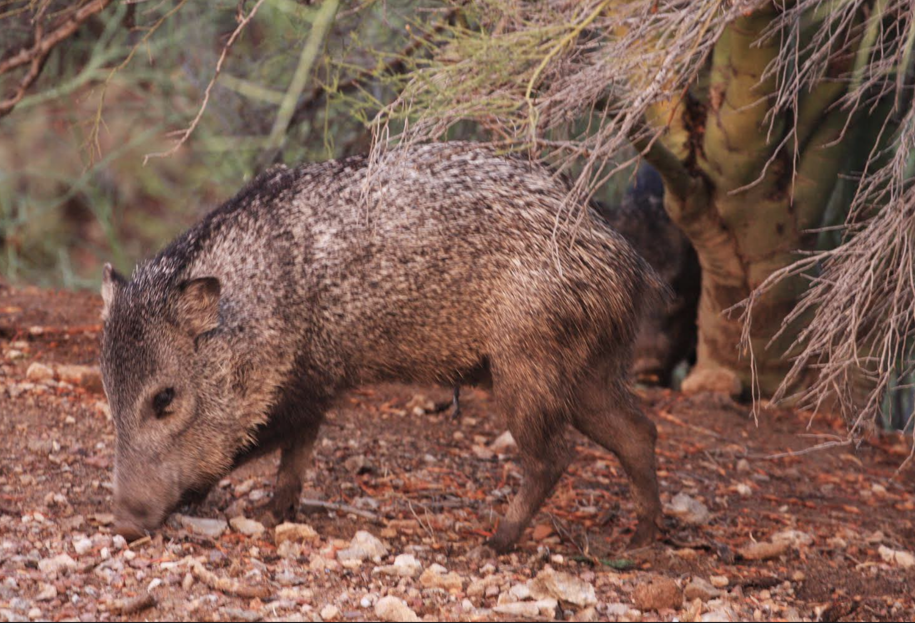 Screen Shot 2021-10-29 at 1.14.04 PM.png