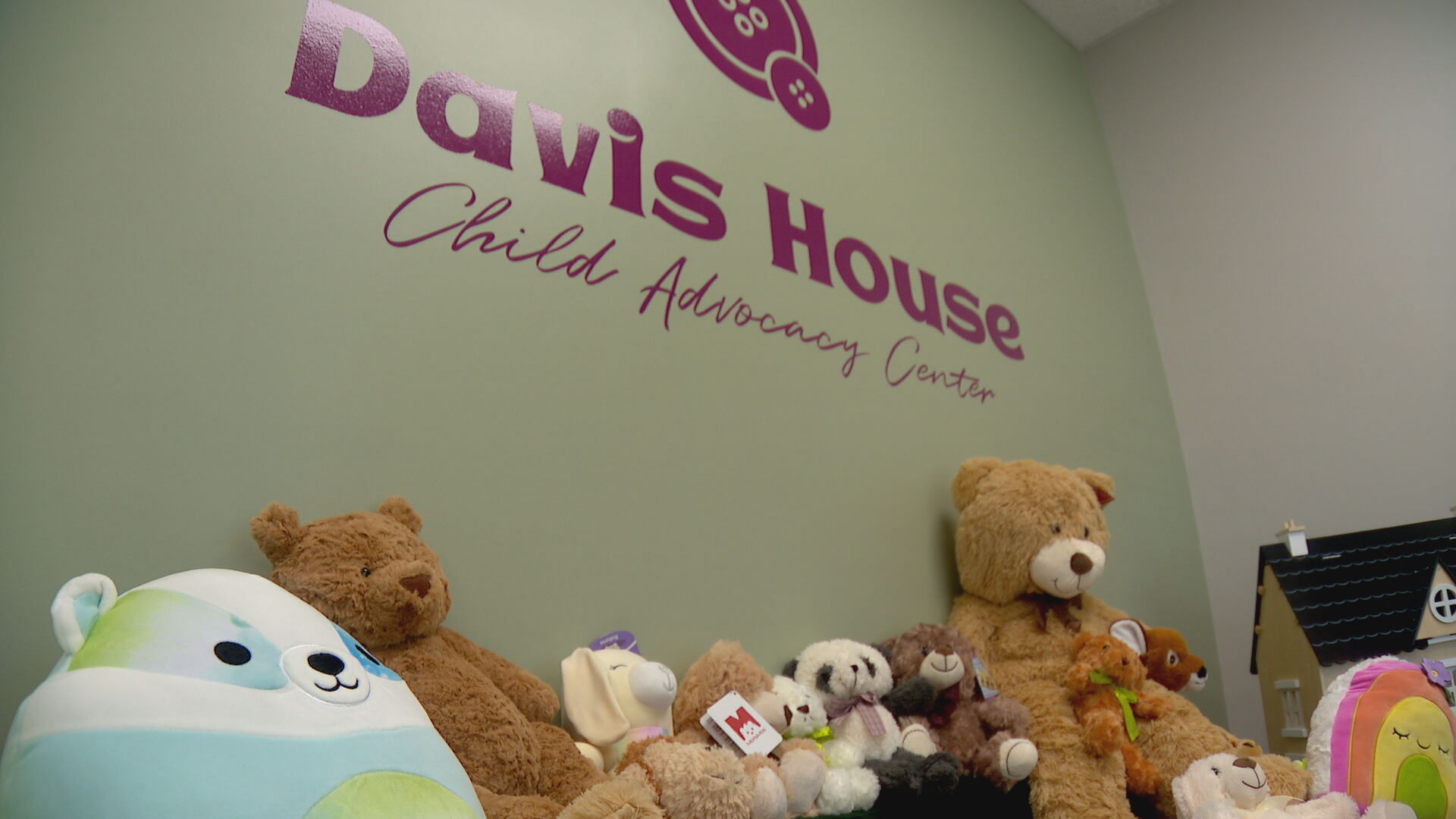 Stuffed Animal Drive for Abuse Victims_frame_10839.jpeg