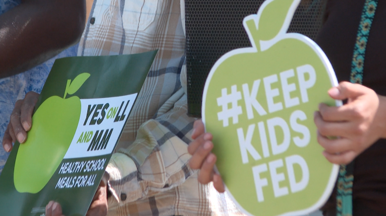 Healthy School Meals for All