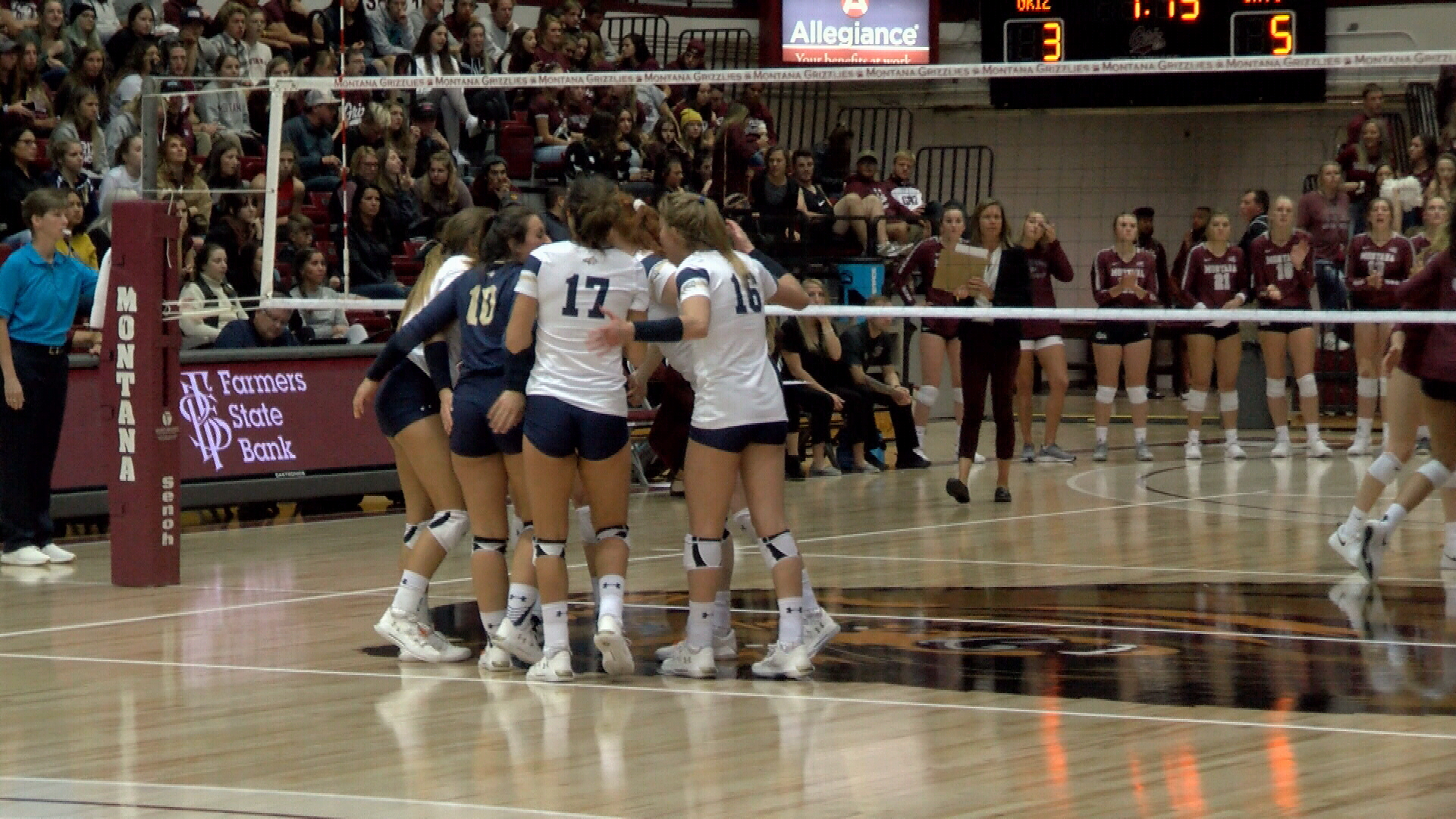 msu vball.jpg