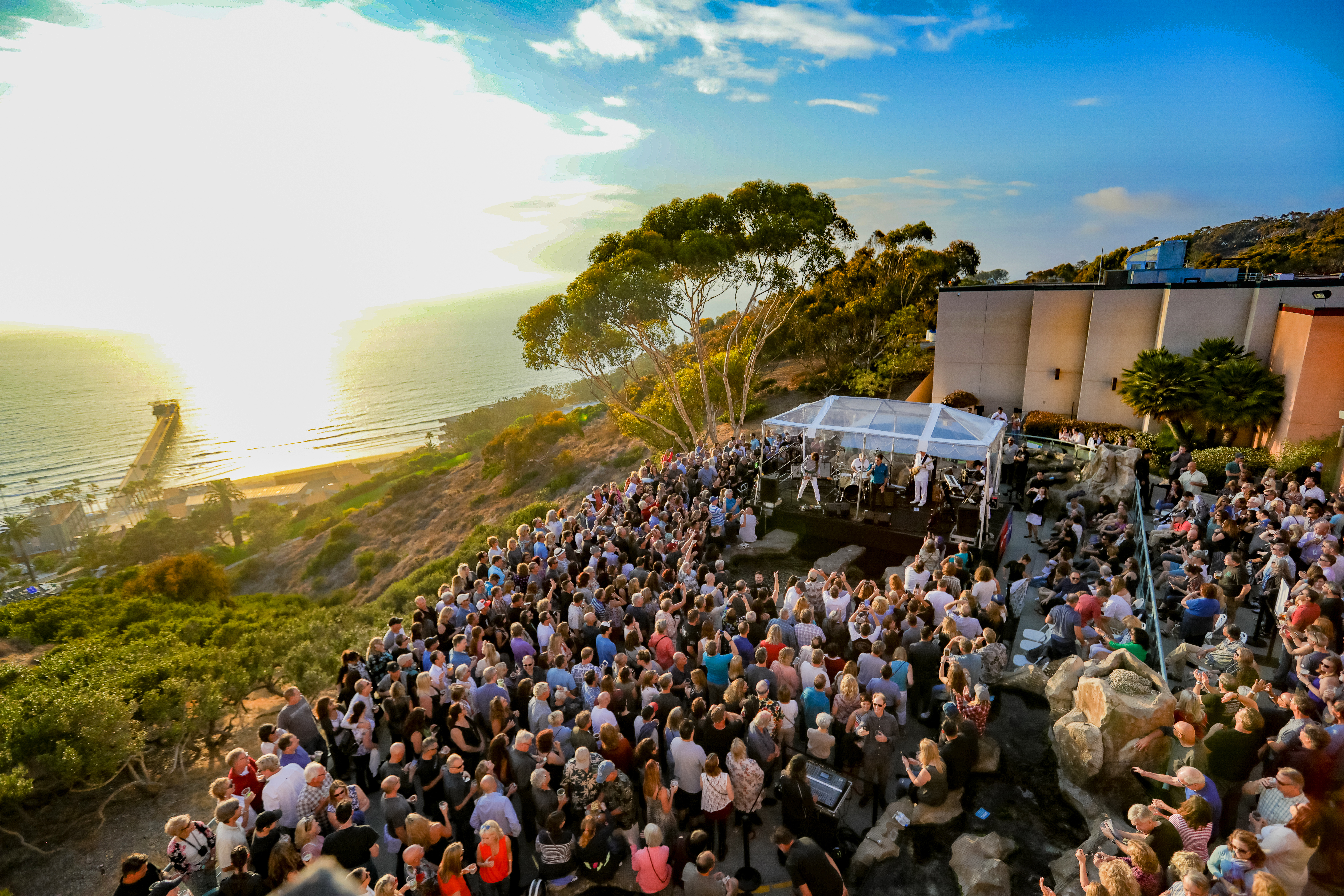 green flash concert birch aquarium