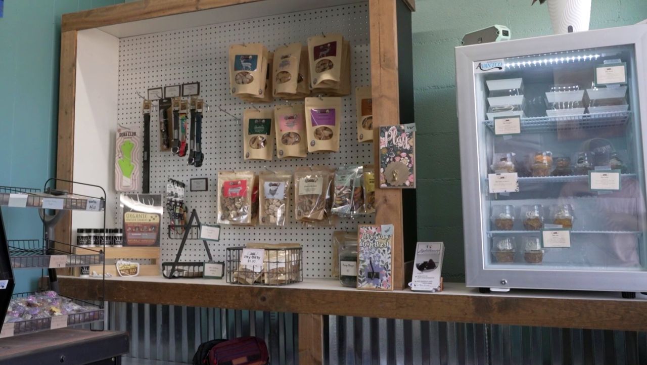 Homemade dog treats aim to provide a healthier alternative