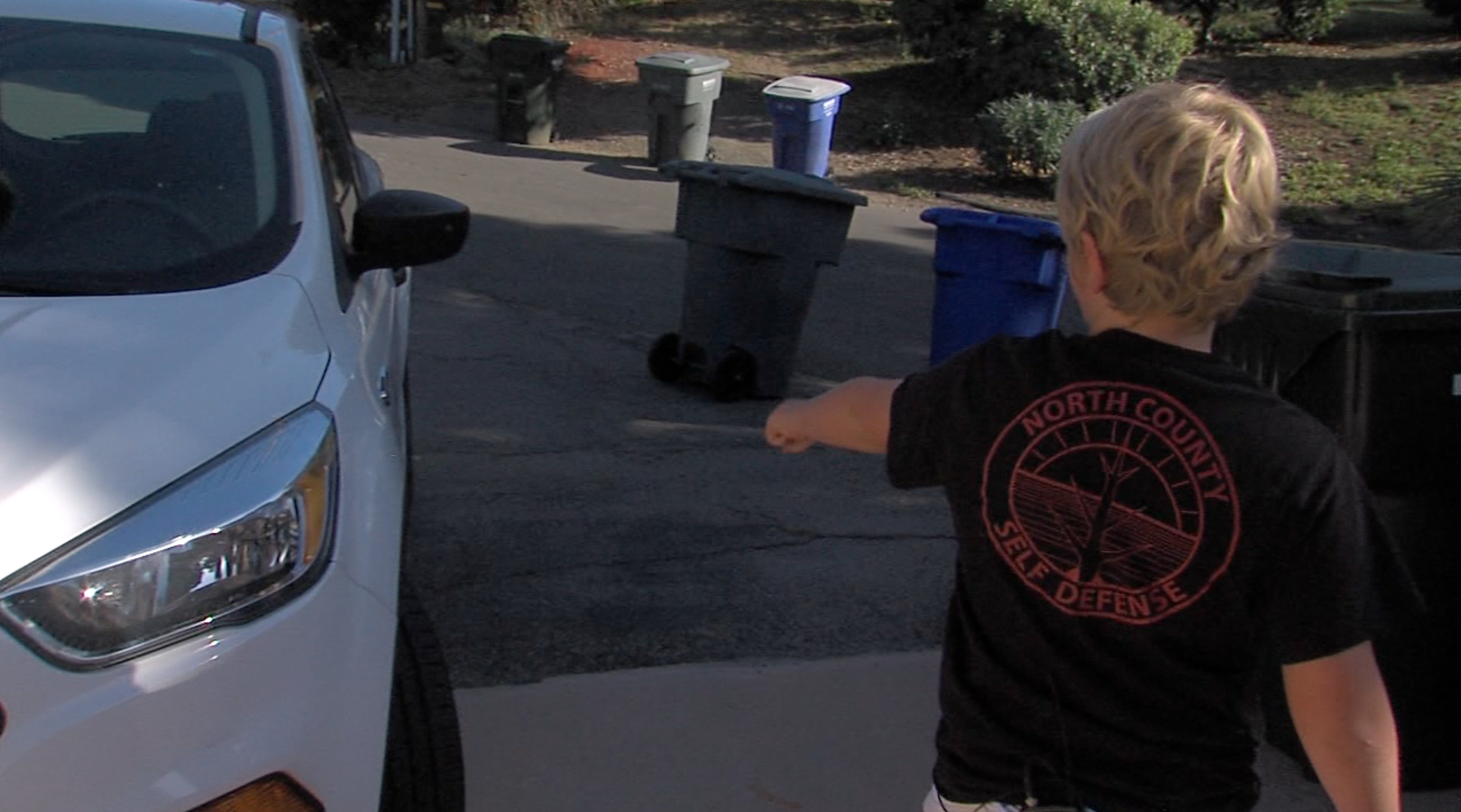 Vista attempted kidnapping