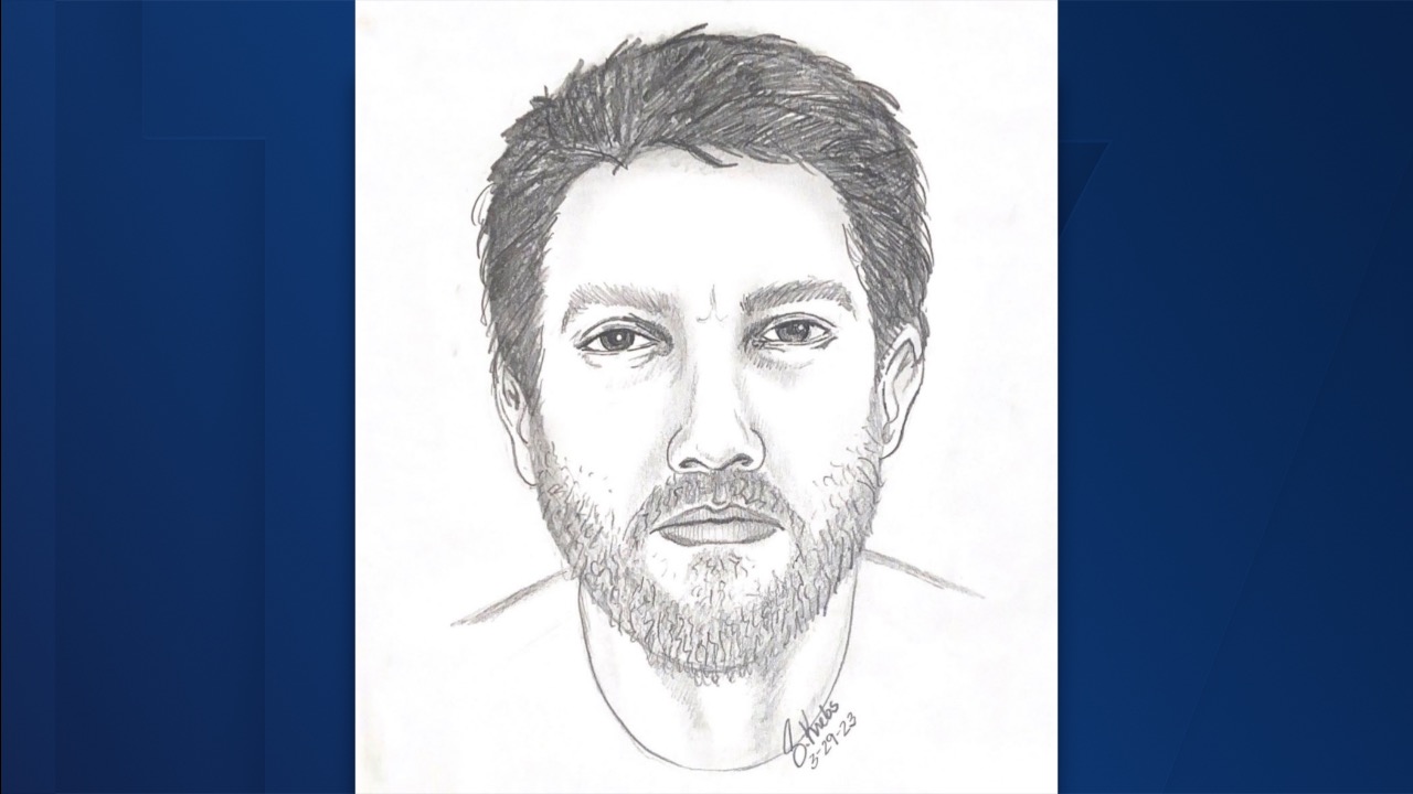 MSU attempted kidnapping suspect sketch.jpg