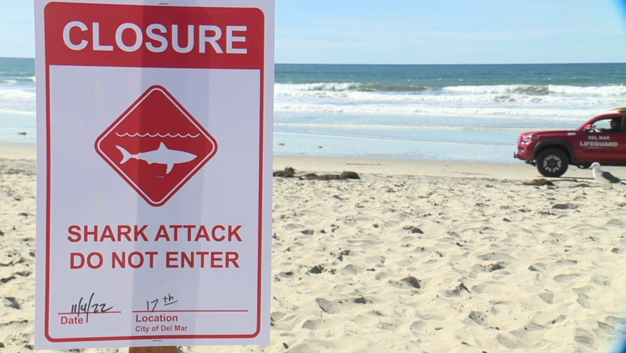 Shark Attack Sign (FILE)