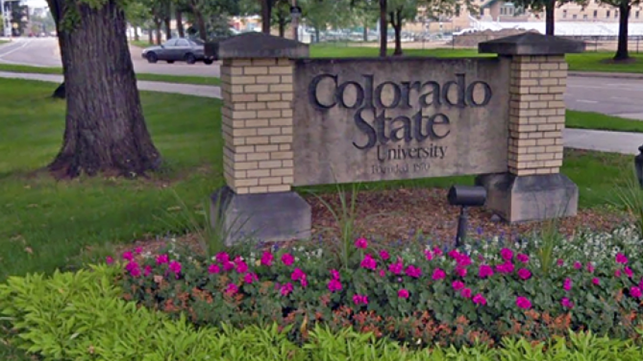 csu.png