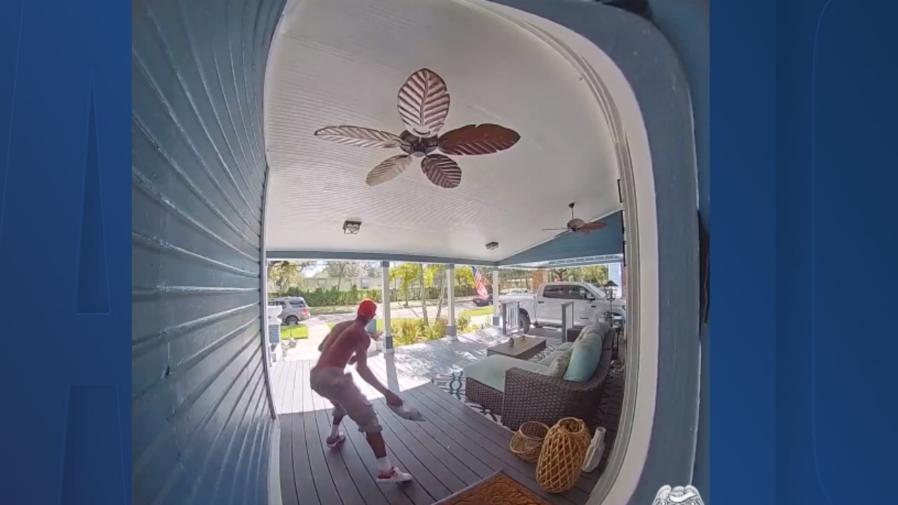 tpd porch pirate.png