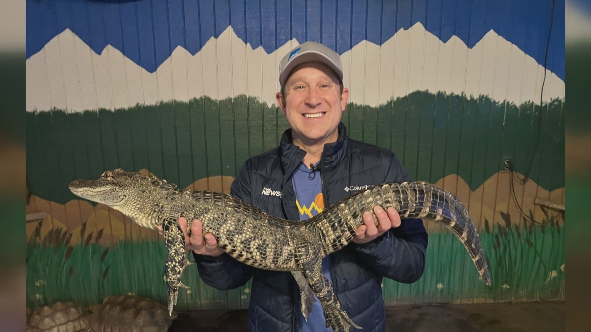 Baby Gator at Colorado Gators Park