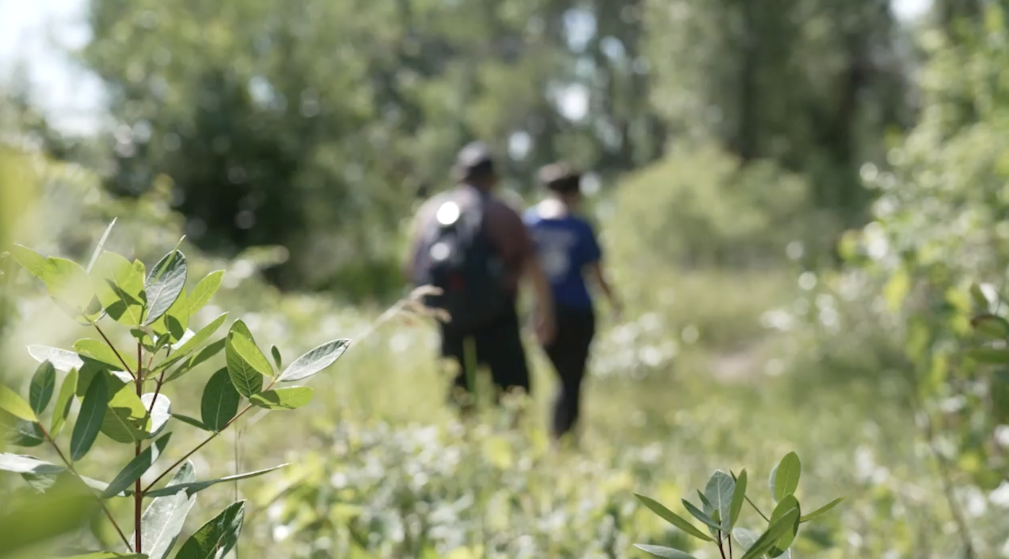 Hiking Mike: Man with epilepsy hikes to find peace