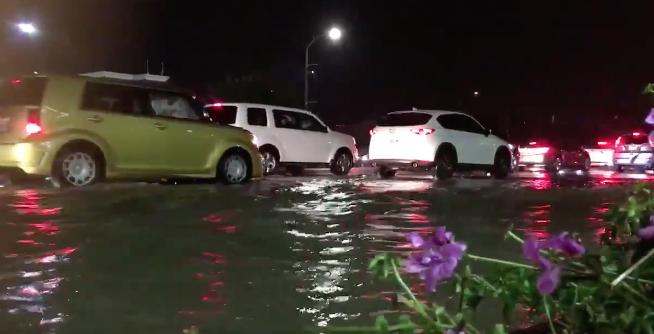 Bonita flood