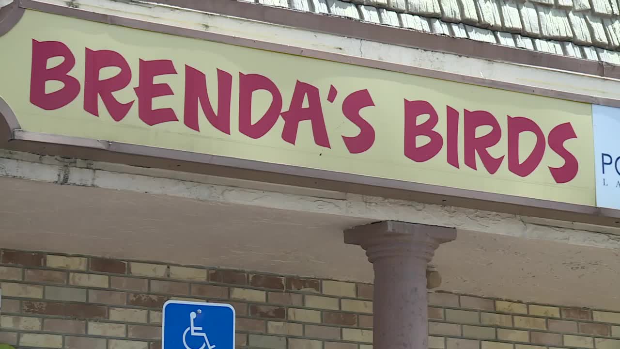 Brenda's Birds sign