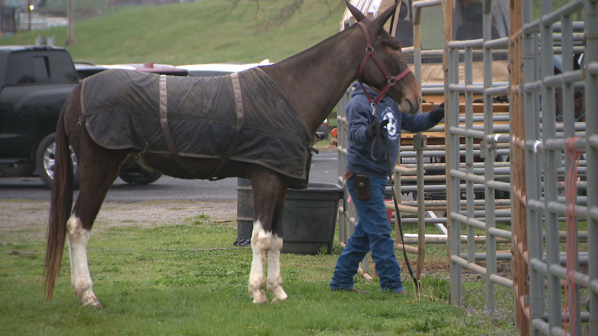 Mule Day campground