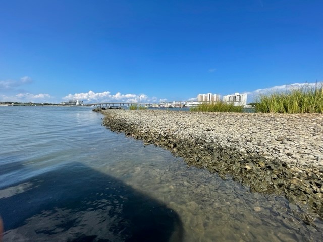 Chesapeake Bay water 