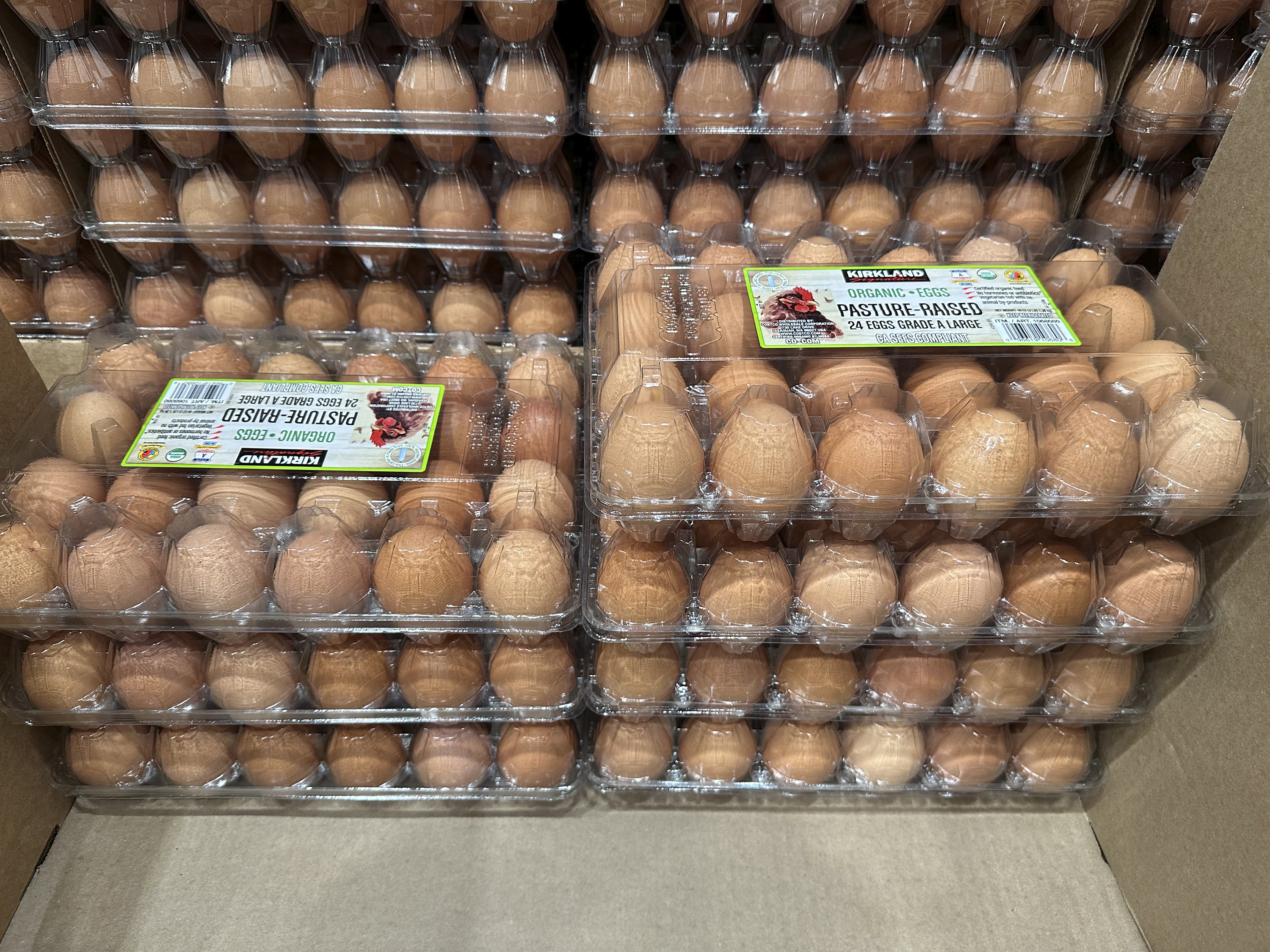 Biz Egg Prices