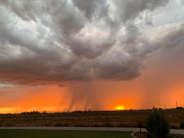 Gilbert Monsoon