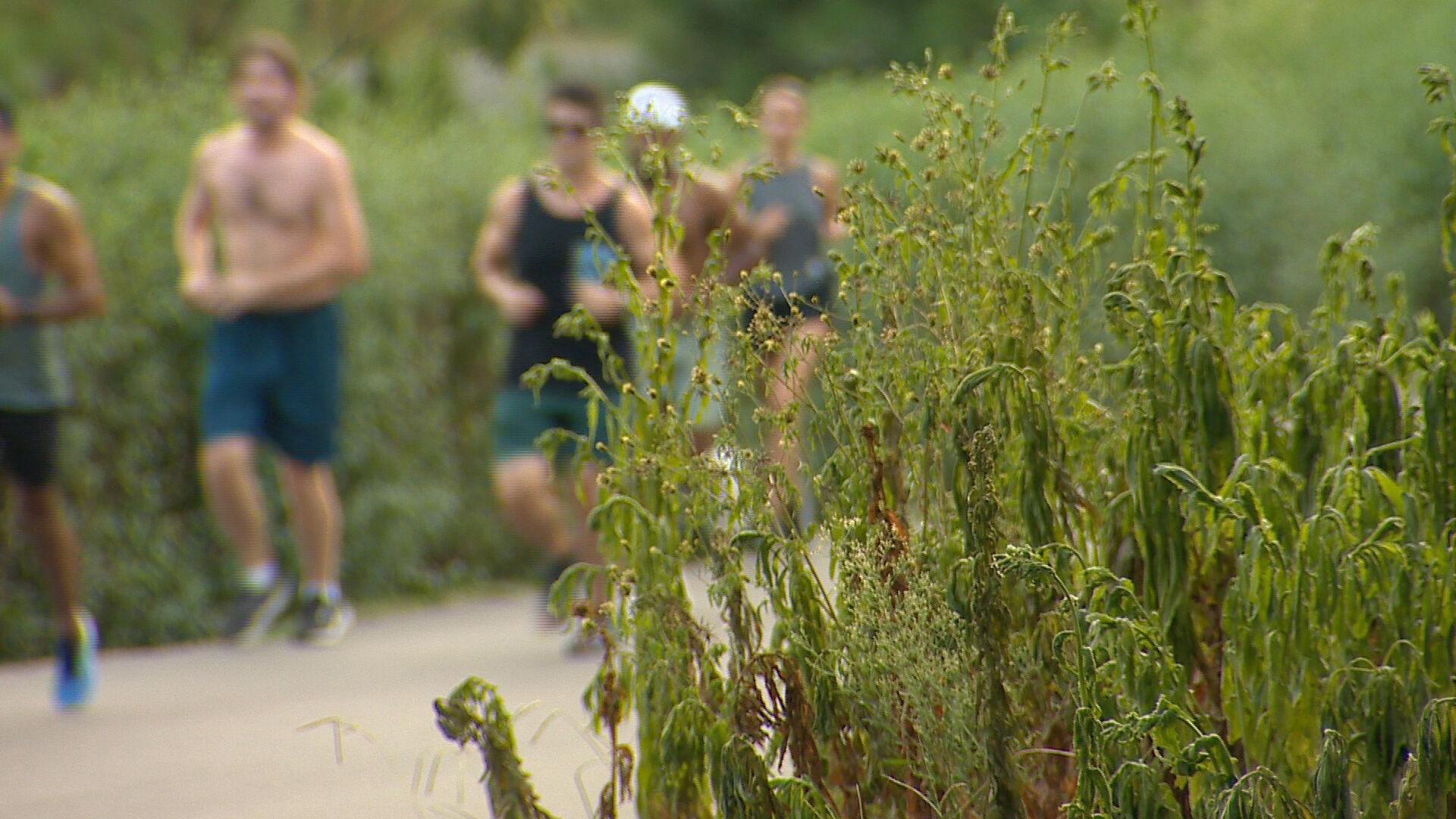 Running club battle the hear RAW_frame_60051.jpeg