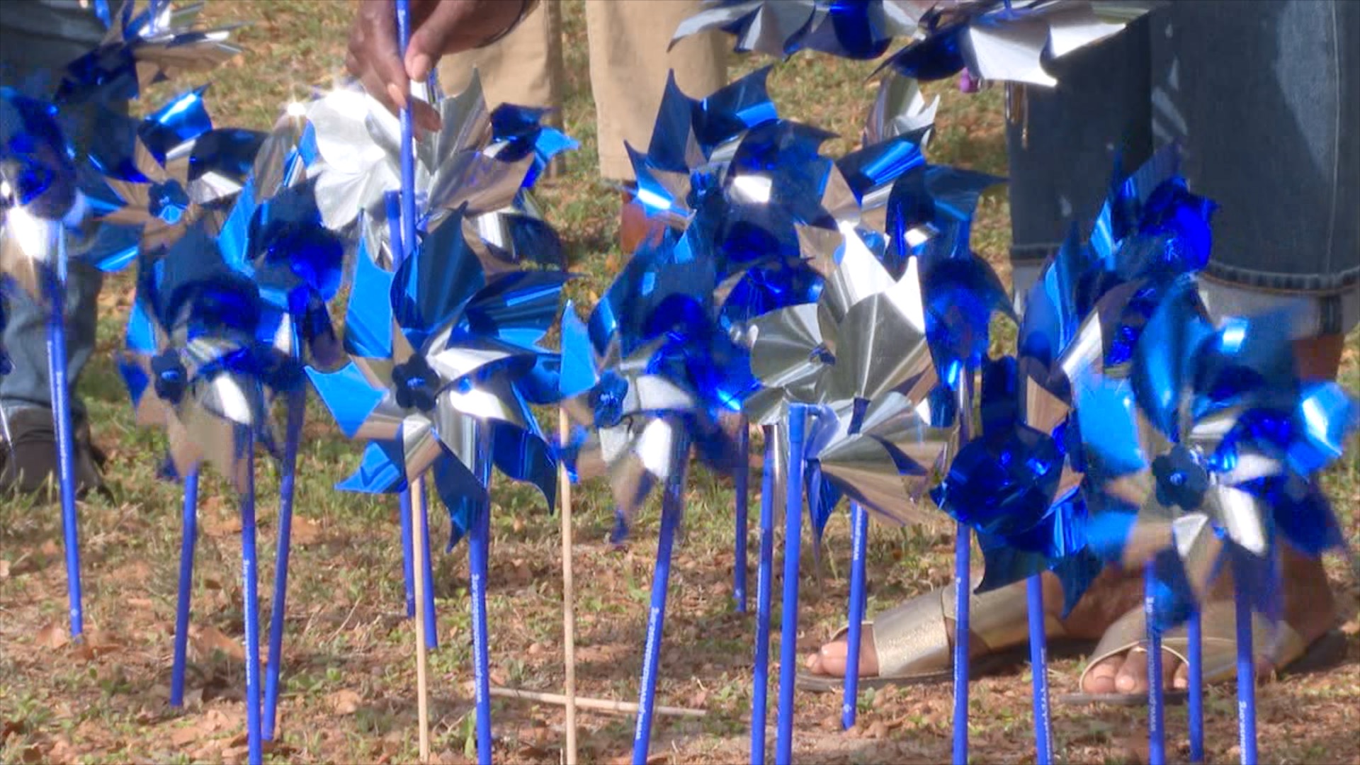 Blue and Silver pinwheels displayed at Azalea Park