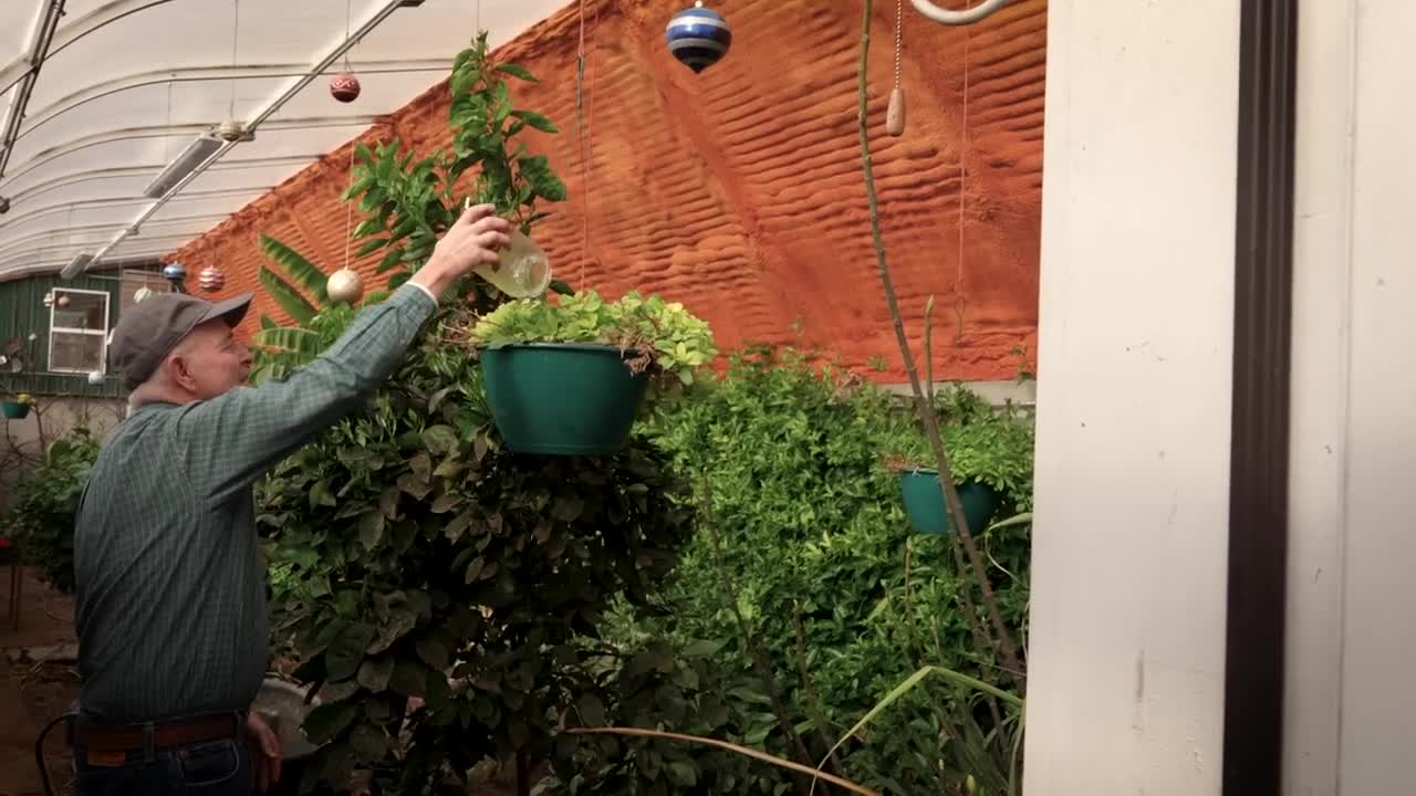 Poster image (7).jpg