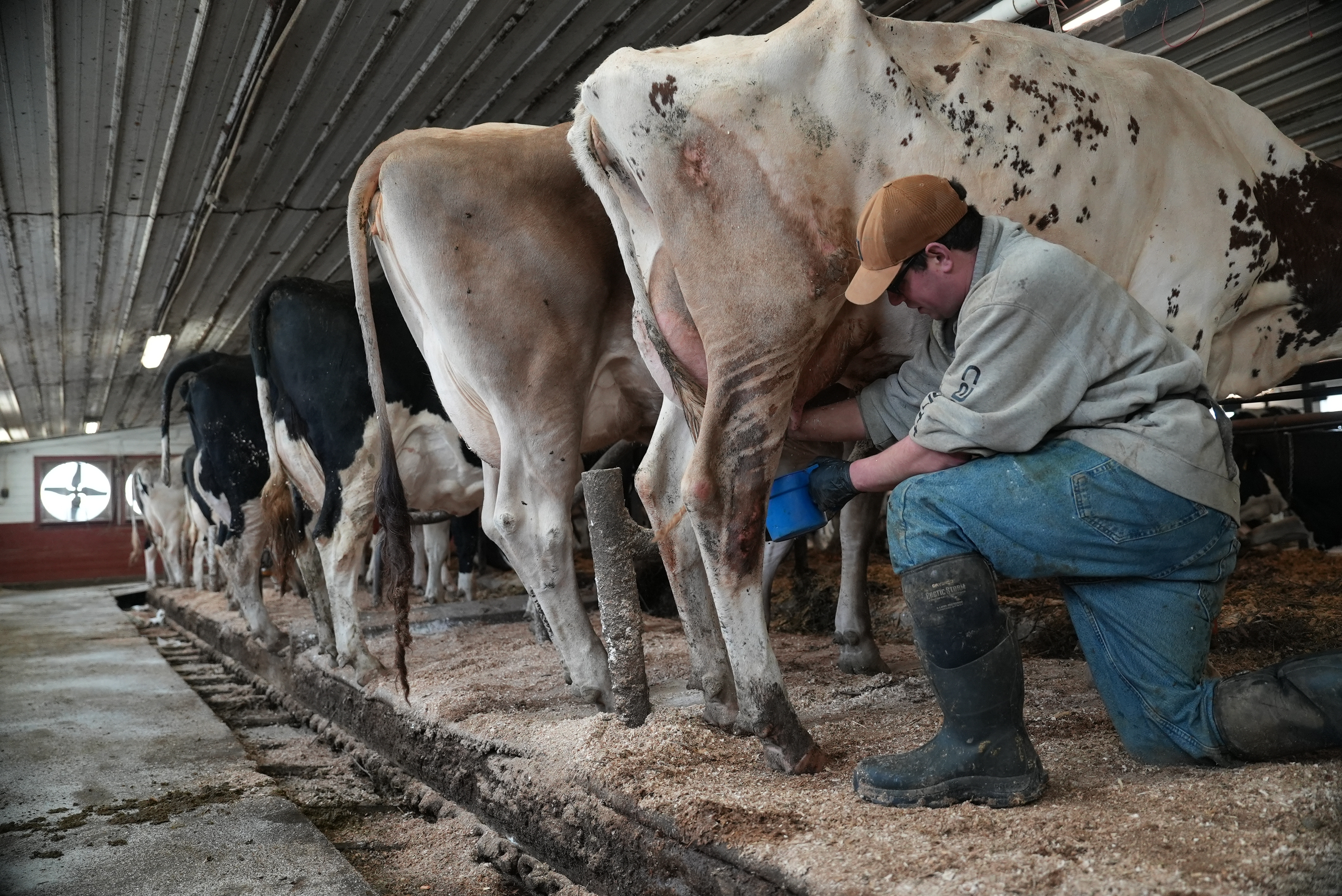 US-MED--Raw Milk-Legislation