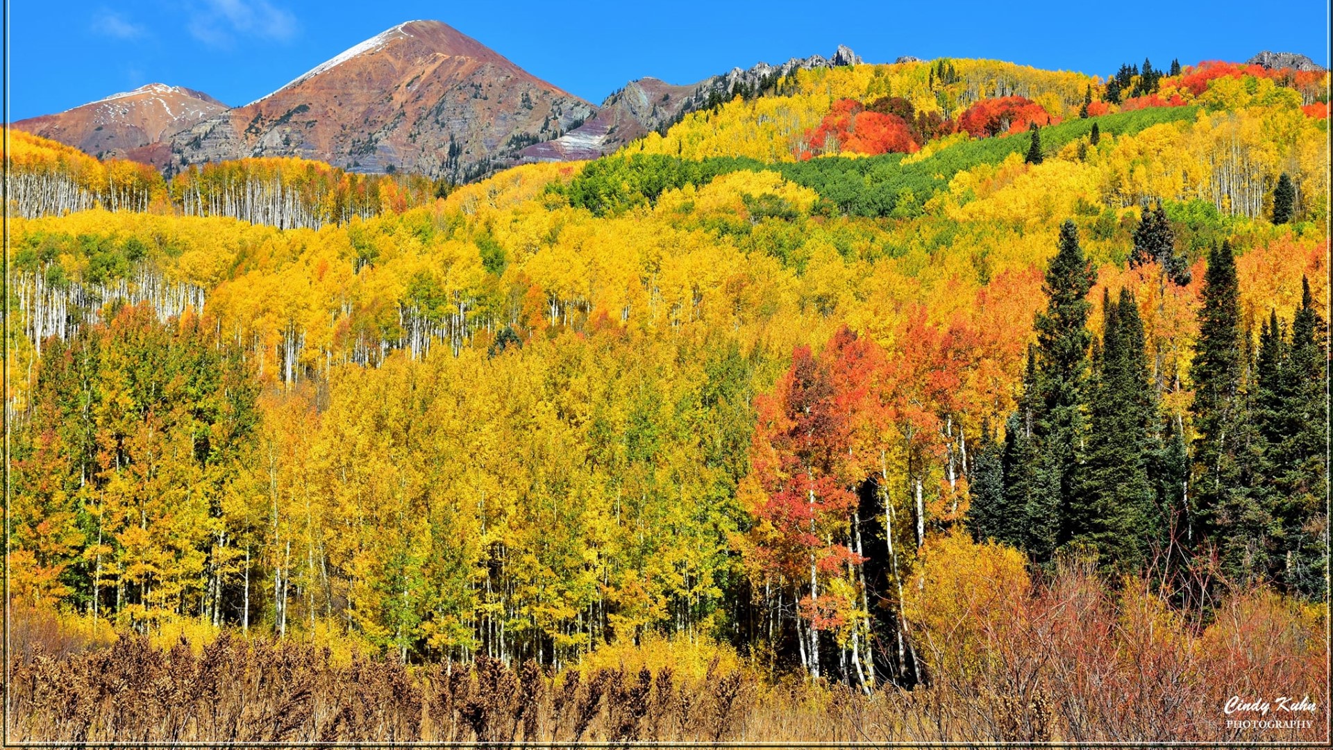 Kebler Pass