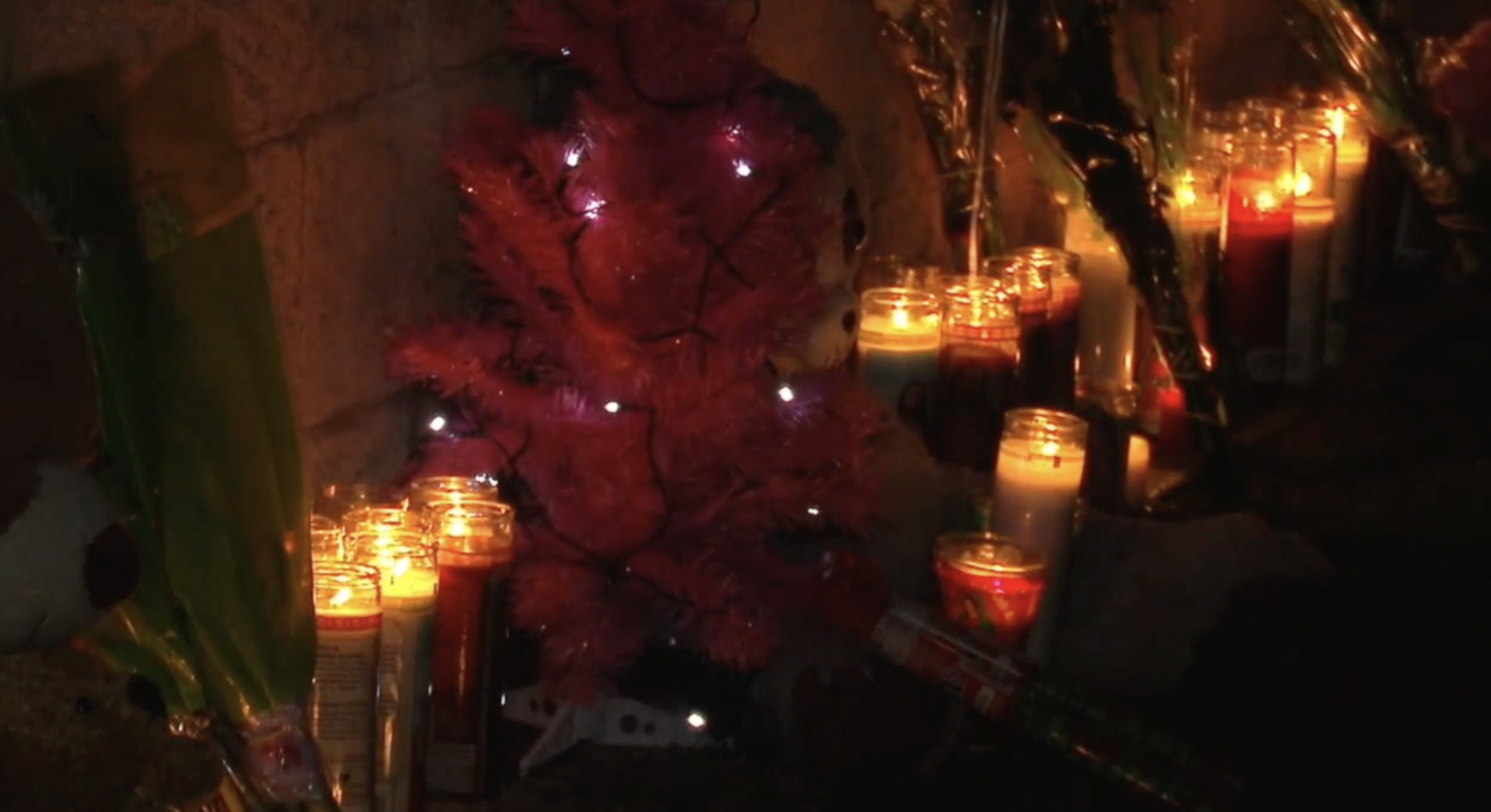 Screen Shot 2022-07-13 at 7.49.49 PM.png