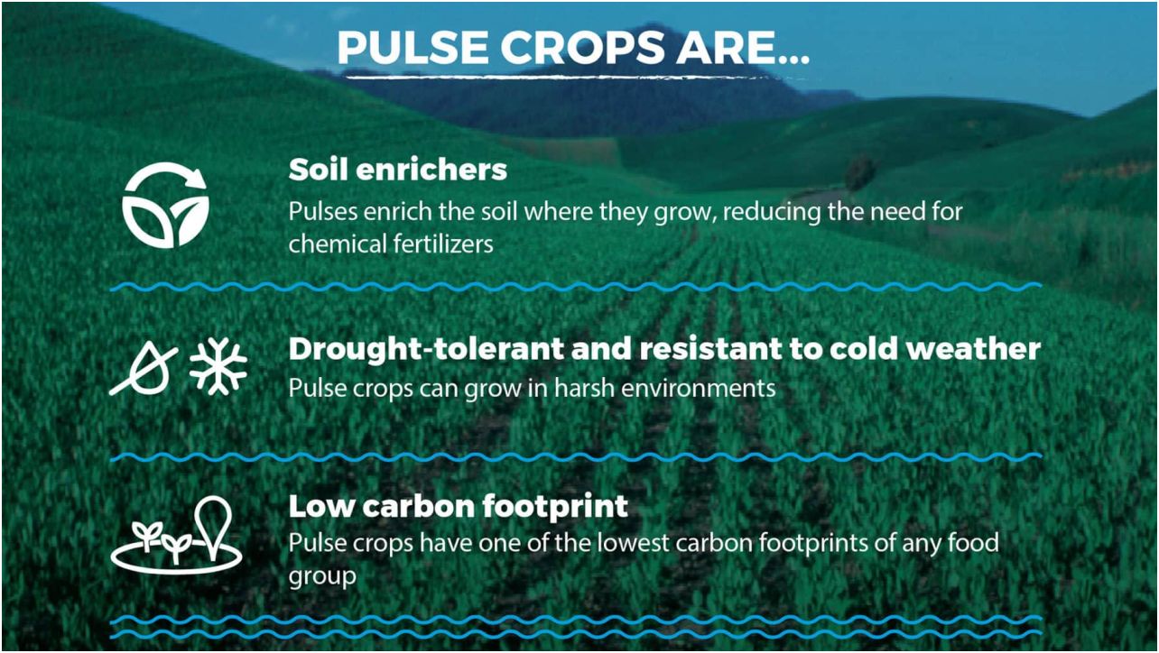 February 10 is "World Pulses Day"