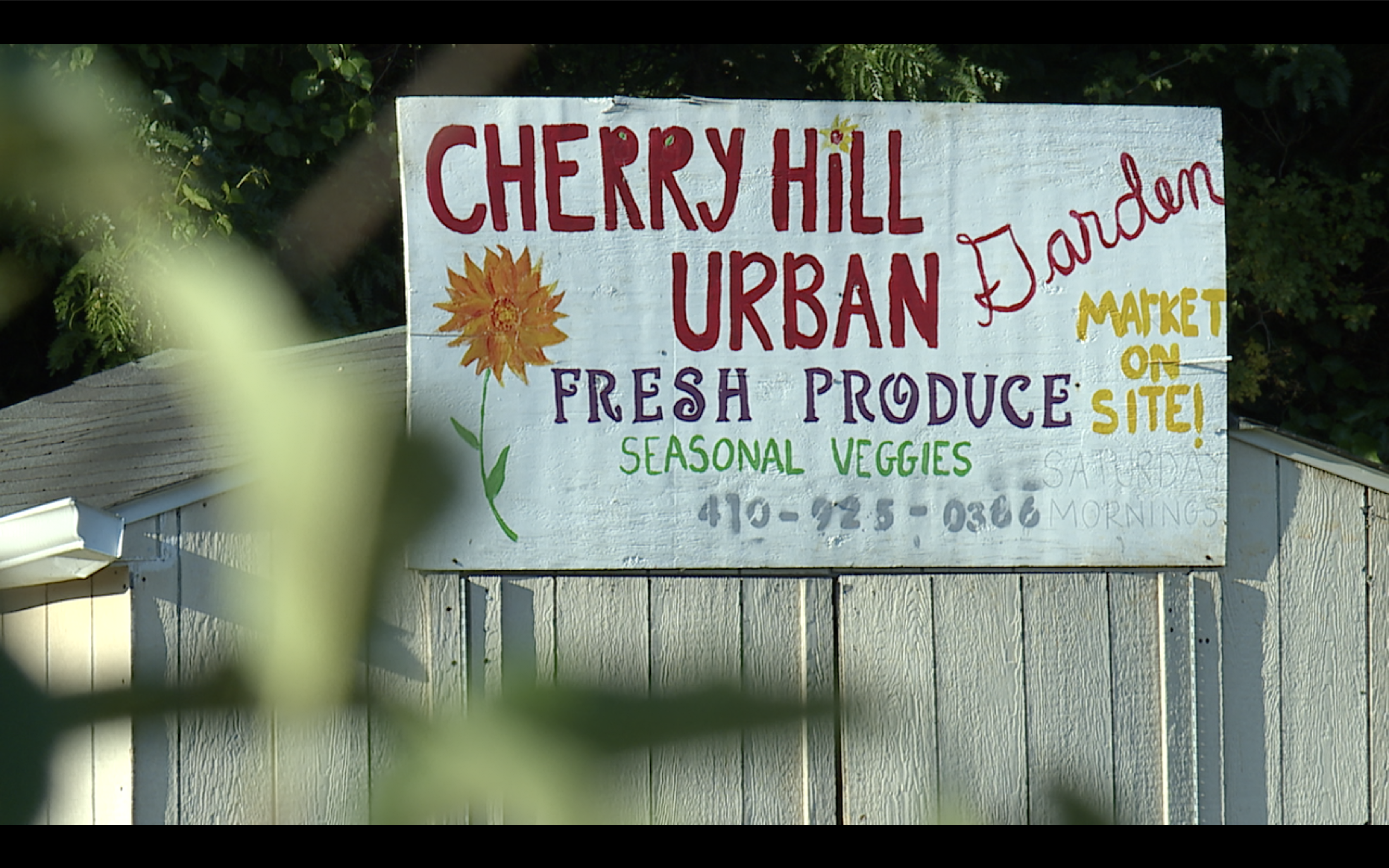 Baltimore Housing Authority agrees to let community garden stay in Cherry Hill until the end of year