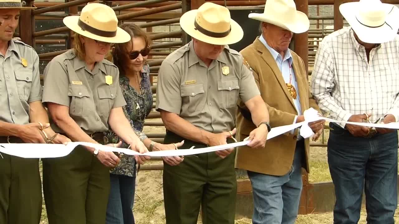 Poster image (5).jpg