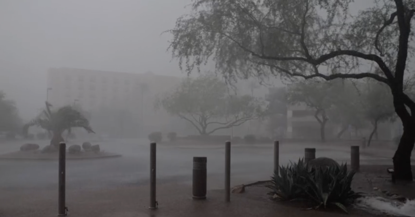 Rain in Phoenix near 44th and Van Buren. 