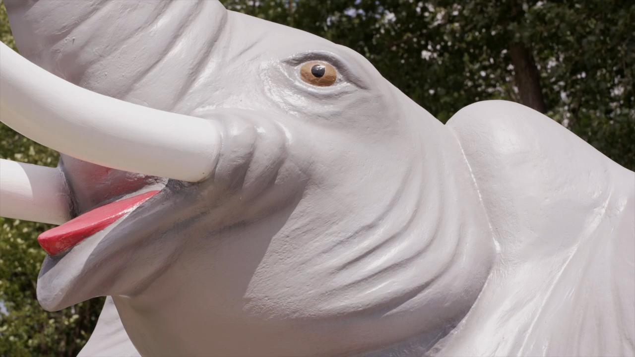 Charley the Elephant