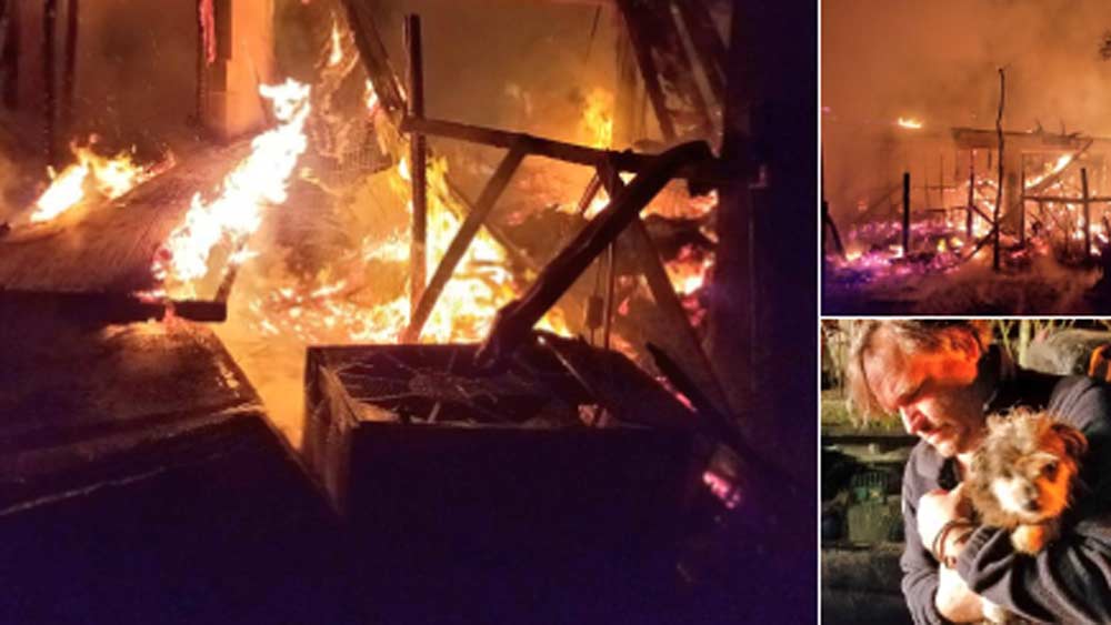 Firefighters say dozens of animals are dead following a fire at a central Florida animal sanctuary.