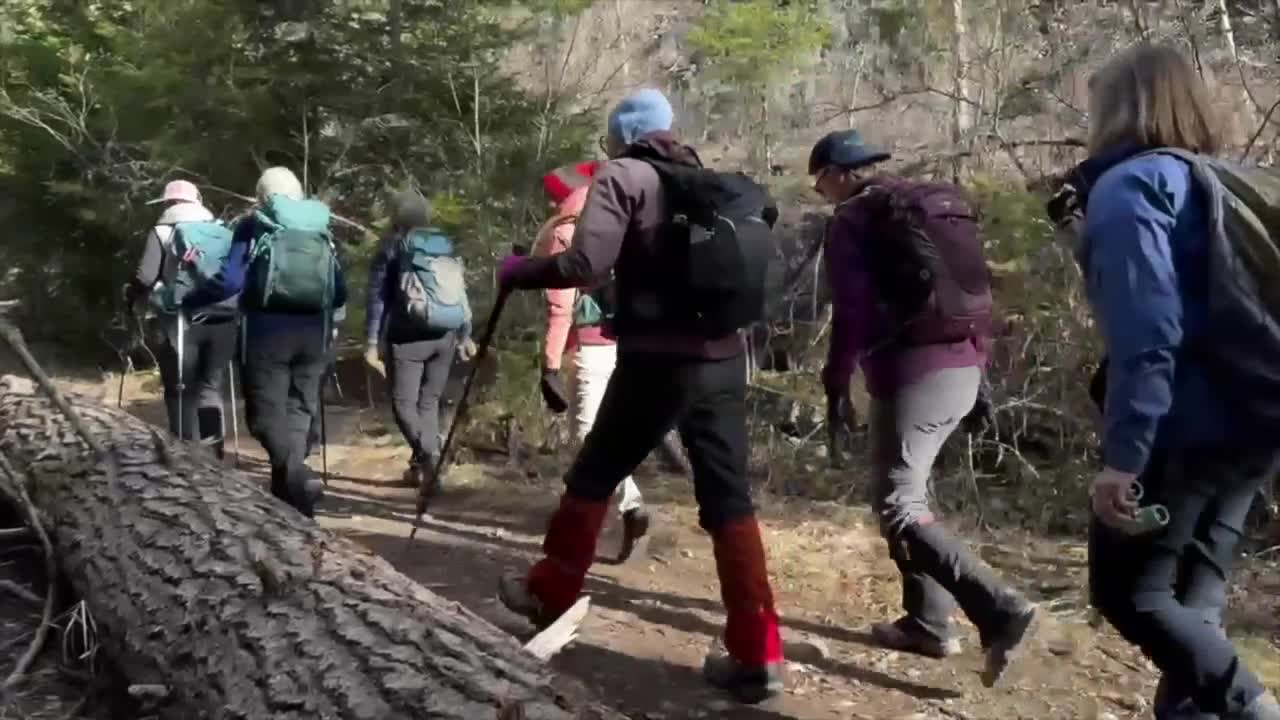 women in wilderness 2.jpg